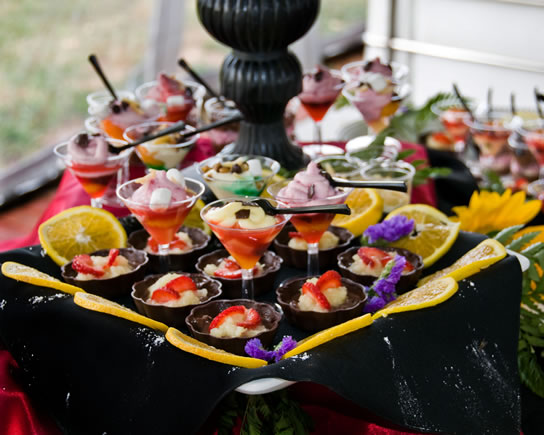 Photography by Stephen